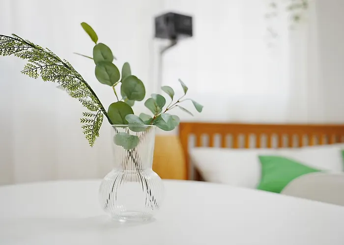 Vivid, Apartment